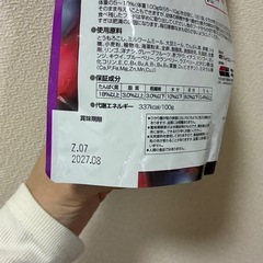 ひかりももん　モモンガ　　フクロモモンガ　ペット　ペットフードの画像