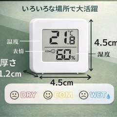 ラスト1個！【新品】ミニデジタル湿温計　電池式　の画像