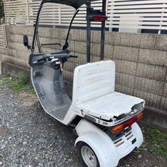 ジャイロキャノピーの画像