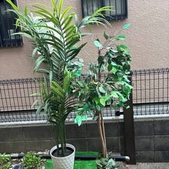 造花　観葉植物　　インテリア
の画像