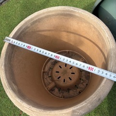 ②プラ植木鉢ベージュ色　果樹　樹木等の画像