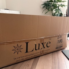 クリスマスツリーの画像