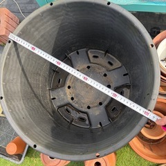 ①
特大プラ植木鉢　果樹　庭木用の画像
