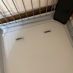 ペットケージの画像