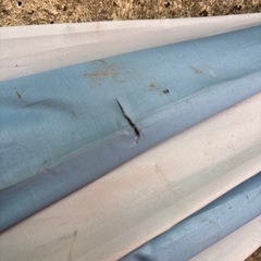 パラソルの画像