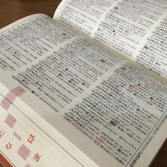例解　新国語辞典　第九版の画像