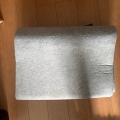 い草ラグ
の画像