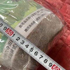 クッション？の画像