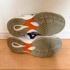 moonstar体育館シューズ　24.5 の画像