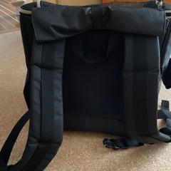 ペティオ　キャリーリュックの画像