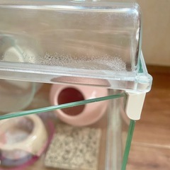 ②GEX ジェックス グラスハーモニー 450N ハムスターゲージ お世話セット ゴールデンハムスター‪🐹 すぐ飼育可能‼️の画像