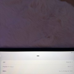 iPad  Air(M2) 13インチ   の画像