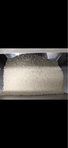 令和7年 きぬむすめ 玄米 30kg③