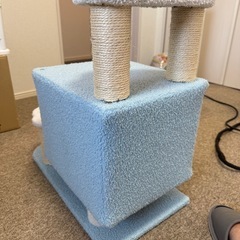 キャットタワーの画像