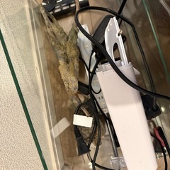 水槽一式の画像