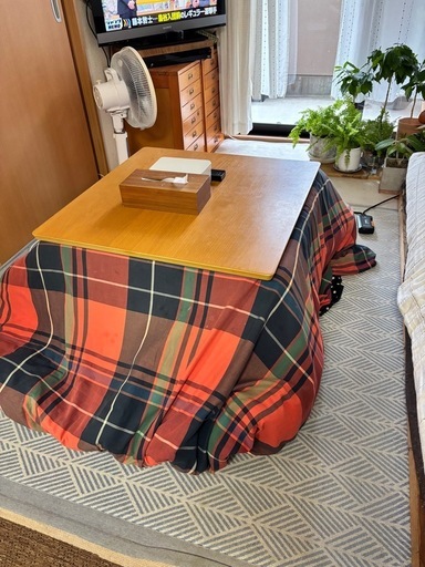 フラットヒーターこたつ