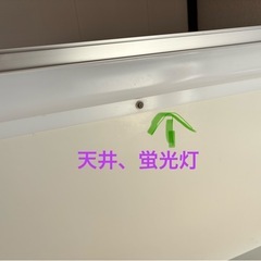 ボンビ三面ガラスペットマンション照明付き、6個セットの画像