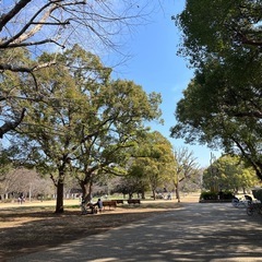 🏃‍♂️ランニング仲間募集！女性限定🌸