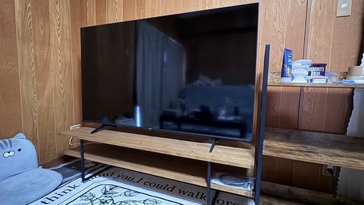 Hisense65センチ