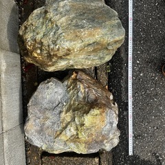 庭石　各種の画像