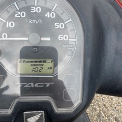 HONDA(ホンダ)TACT(タクト)の画像