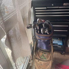 ブリヂストンjsチタンマッスルアイアンセットの画像