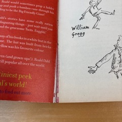 Roald Dahl The Magic Finger & The Twitsの画像