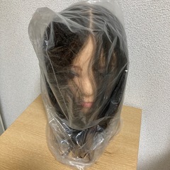 カット練習用ウィッグの画像