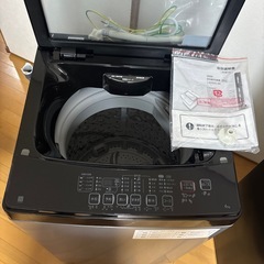 洗濯機NTR60BKの画像