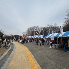 葛西臨海公園　🌸お花見イベントスタッフ募集🌸の画像