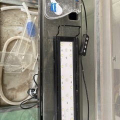 水槽60センチの画像