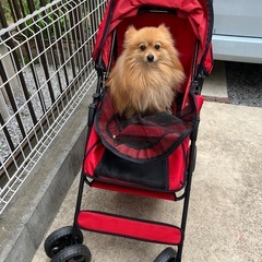 ペットバギー カートの画像