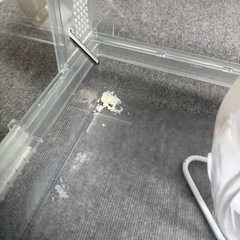 グラスハーモニー60㎝の画像