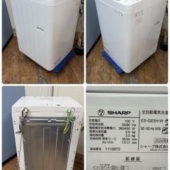 【🐤買取市場 1年保証 ジモティー限定特別価格】R616 ☀️ 2024年製の高年式♪ SHARP / シャープ 洗濯機 （洗濯5.5㎏) ES-GE5H ⭐ 動作確認済 ⭐ クリーニング済の画像