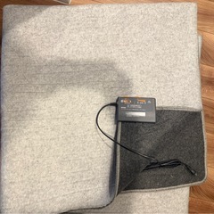 ニトリ　ホットカーペットの画像