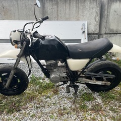 HONDA エイプの画像