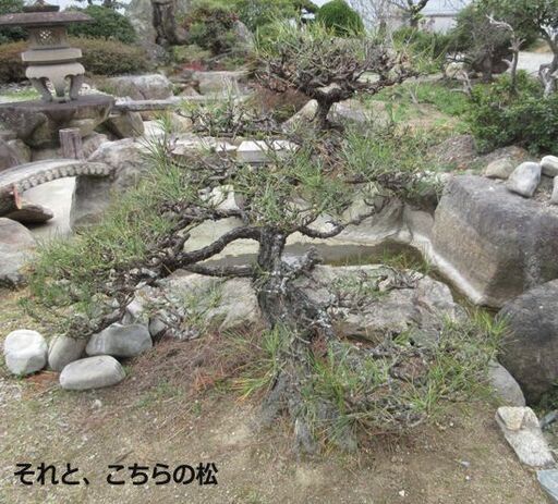3本