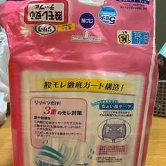 リリーフ　股モレ安心　テープ式　13枚　　Lサイズの画像