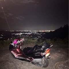 マジェスティ250 sg03j 不動
の画像