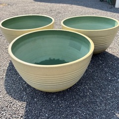 睡蓮鉢　メダカ　プラスチック製　小さめ3個セットの画像