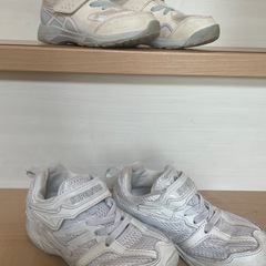 🐴受付中🐴17-18cmスニーカーの画像