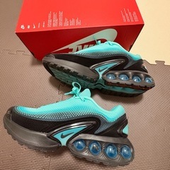 AIRMAX ＤＮ
の画像