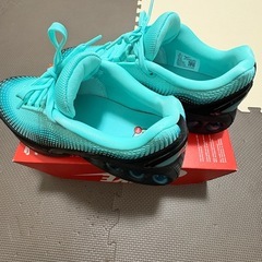 AIRMAX ＤＮ
の画像