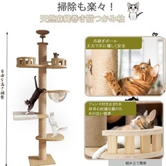02新品 タワーキャット,木登りタワー 宇宙船ハンモック付き シングル キャットタワー 突っ張り 猫タワー 省スペース,スリム 爪とぎ 全縄巻き 運動不足 ストレス解消 太い支柱 多頭飼い 安定性良い 猫ツリー キャットランド キャットポール,キャットウォーク,高さ調整幅（240～250cm,の画像