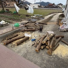 椎茸が出る原木の画像