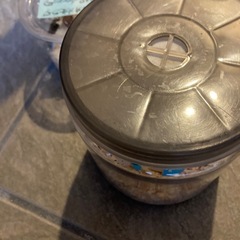 ミンダナオオオヒラタ[別血統]成虫ペアの画像