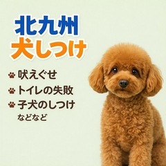【北九州犬しつけ】出張トレーニング🐶