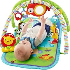 フィッシャープライス　赤ちゃん   フィッシャープライス(fisher price) レインフォレスト指遊びミュージカルジム　知育玩具の画像