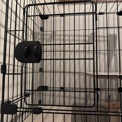 ペットケージ　猫の画像