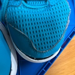 キッズ用バッシュの画像